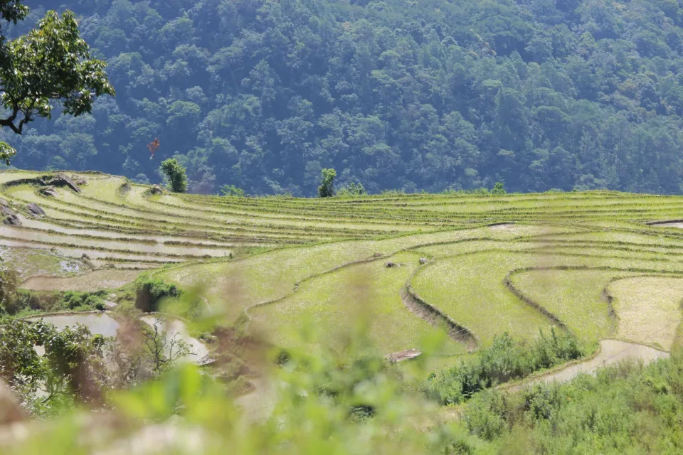 Kho gạo của Trần Văn Hóa
